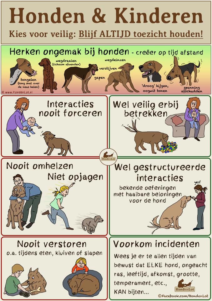 Honden en kinderen
